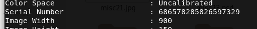 misc21